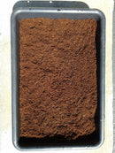 Nature's Coco Coir 11-Pound Block